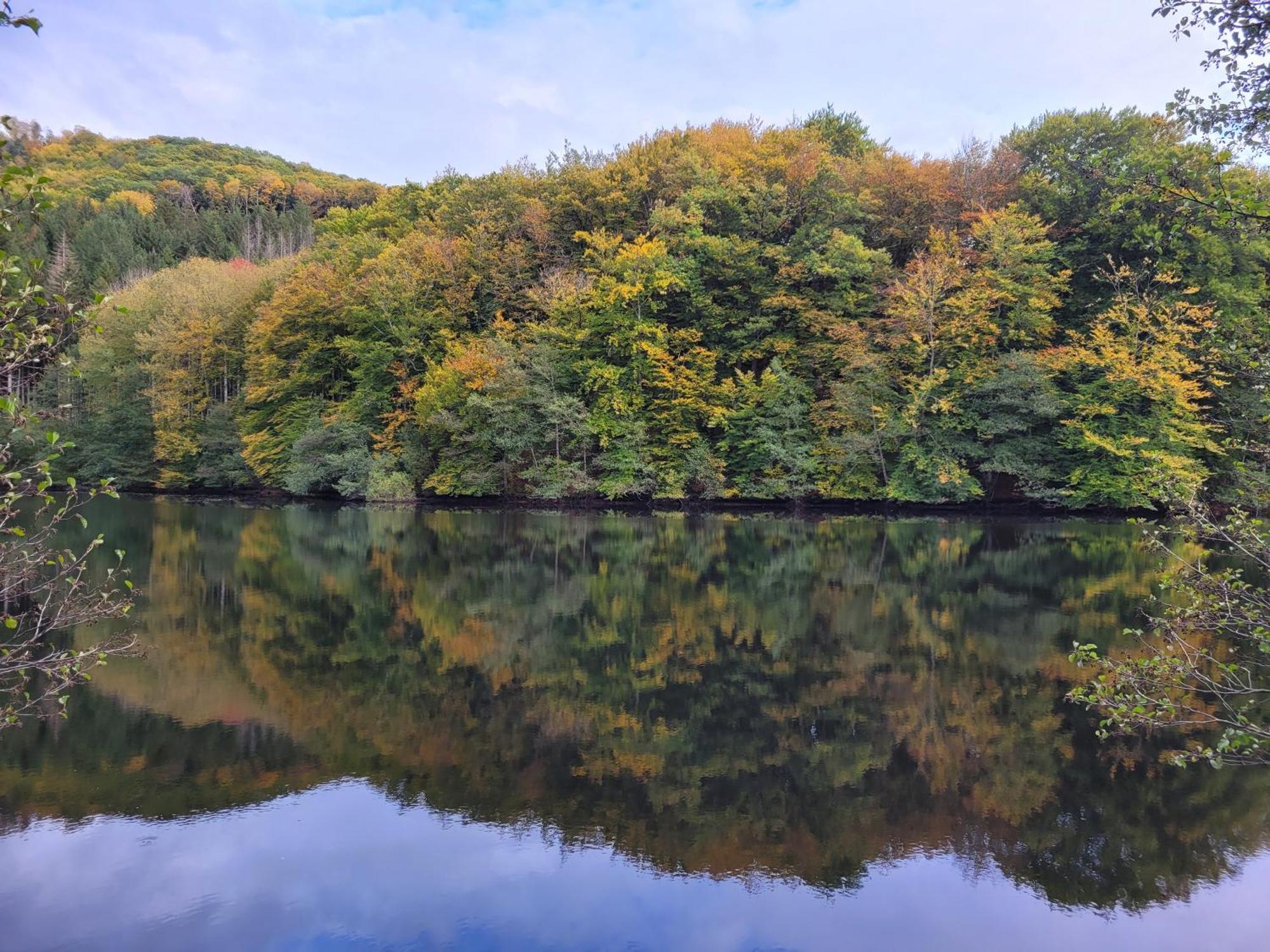Le Lac Des Moines Condat  Eksteriør billede