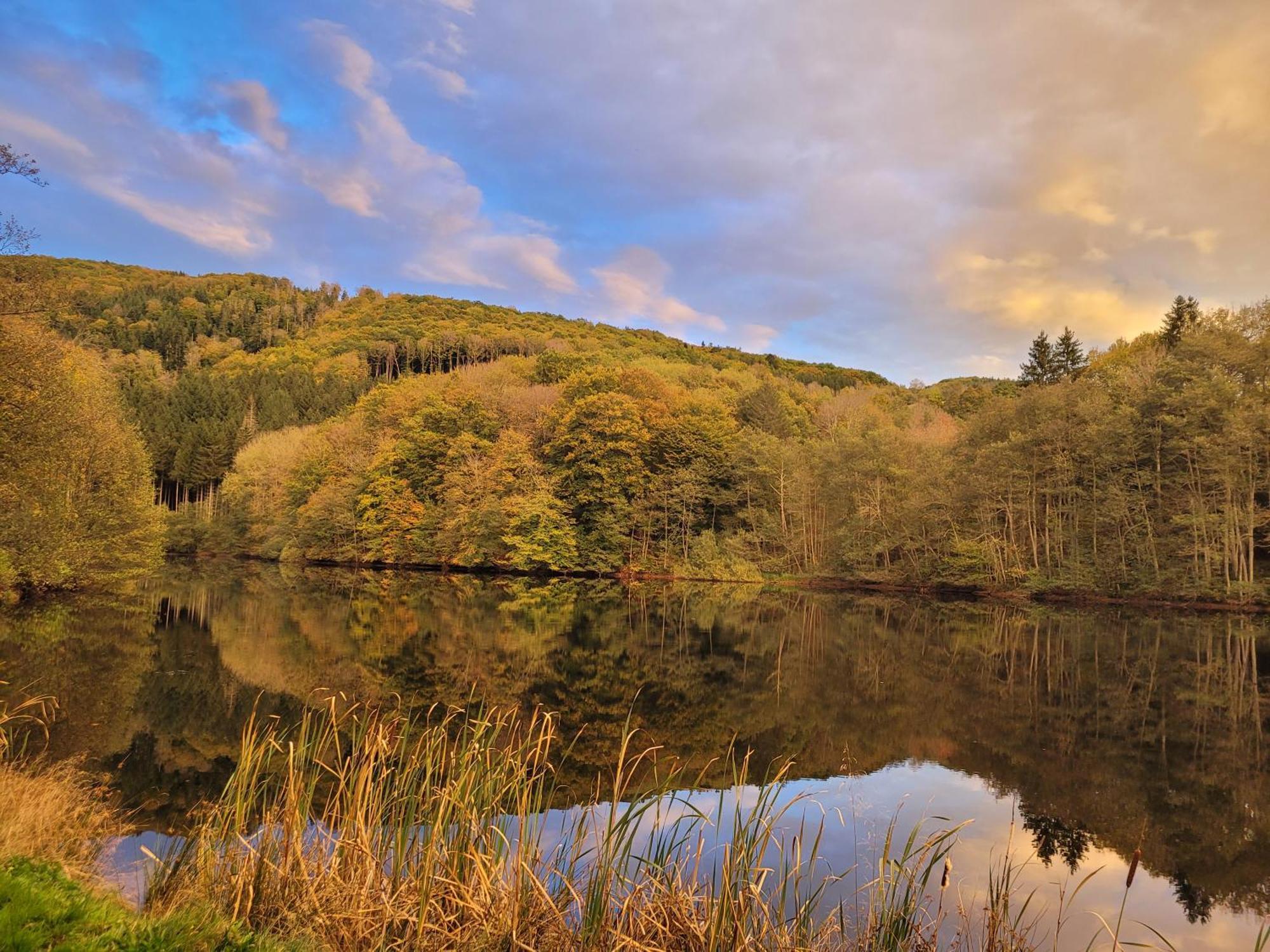 Le Lac Des Moines Condat  Eksteriør billede