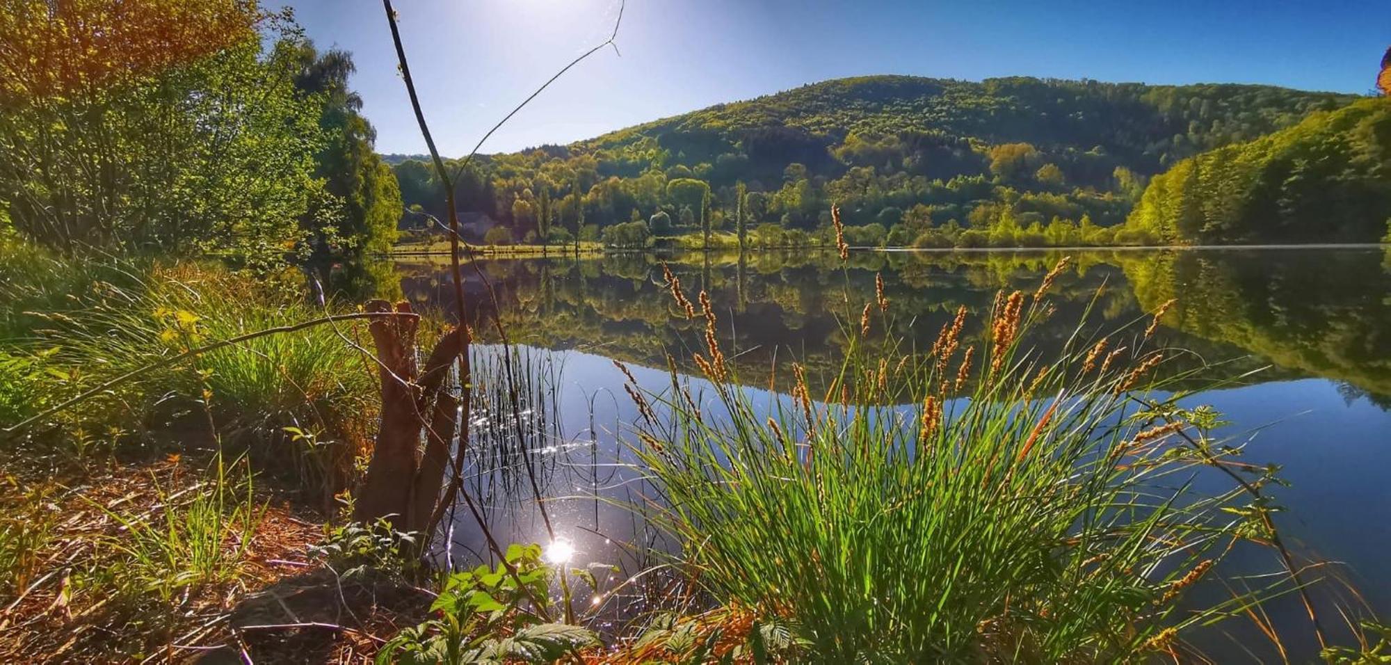 Le Lac Des Moines Condat  Eksteriør billede