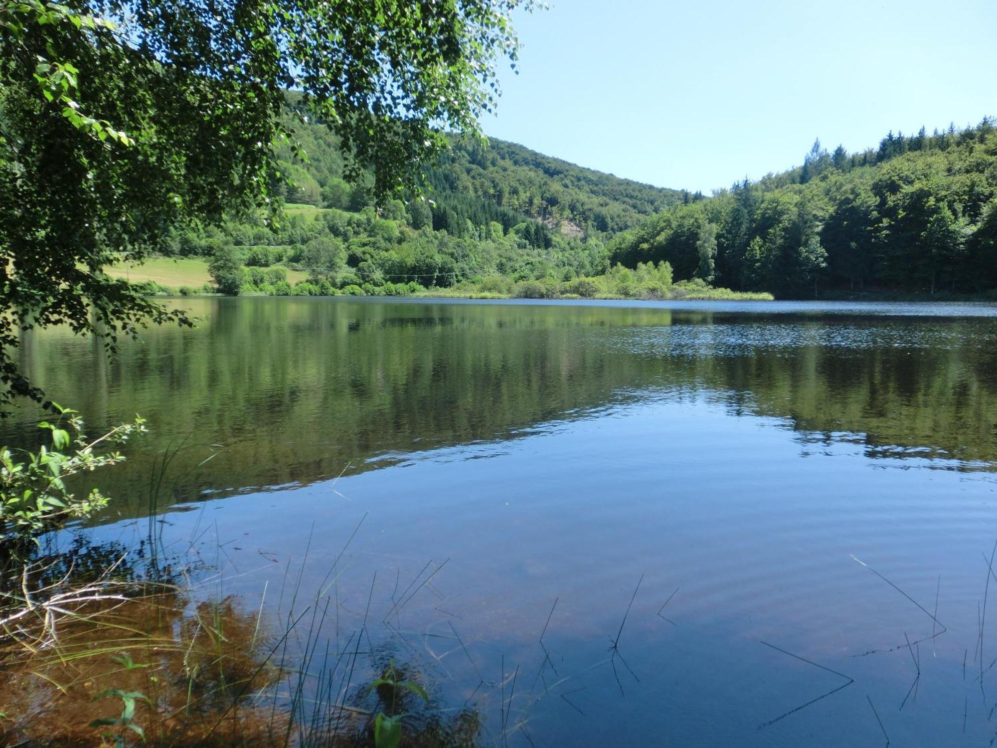 Le Lac Des Moines Condat  Eksteriør billede