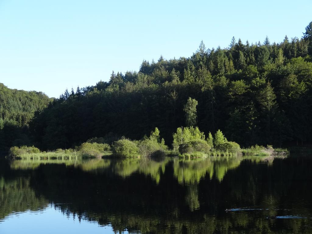 Le Lac Des Moines Condat  Eksteriør billede